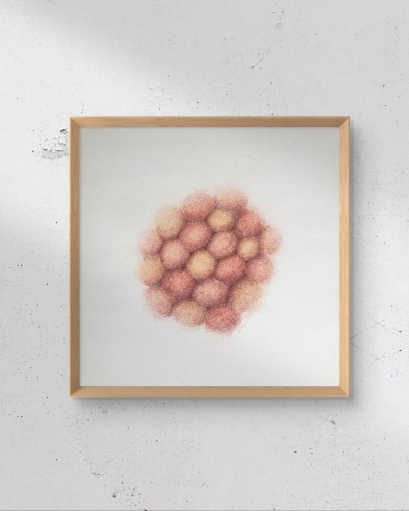 „Peach Fuzz” | kolekcja „Farfocle, pierwsze pół roku”