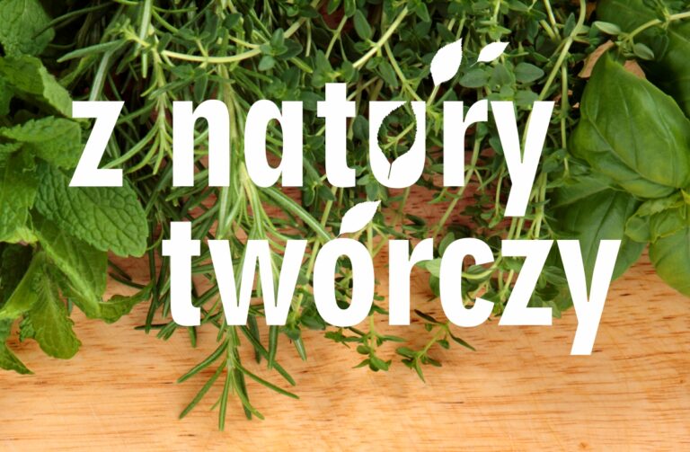 Read more about the article z natury twórczy – cykl warsztatów